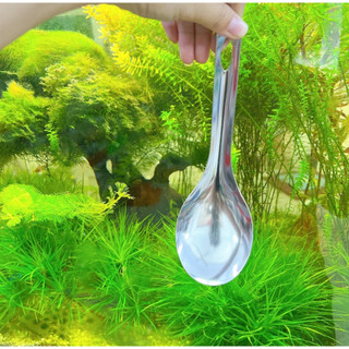 Vá múc cơm, múc canh inox, Vá xơi cơm hình OVAL