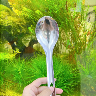 Vá múc cơm, múc canh inox, Vá xơi cơm hình OVAL