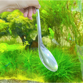 Vá múc cơm, múc canh inox, Vá xơi cơm hình OVAL