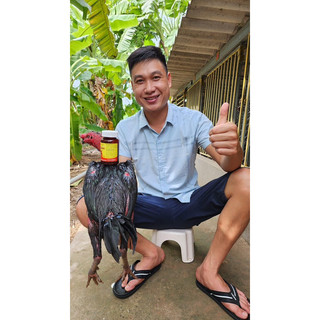 ( 80 vien )KÍCH LÔNG ƯU VIỆT- SEKO thực phẩm giúp mượt lông đẹp lông gà chọi