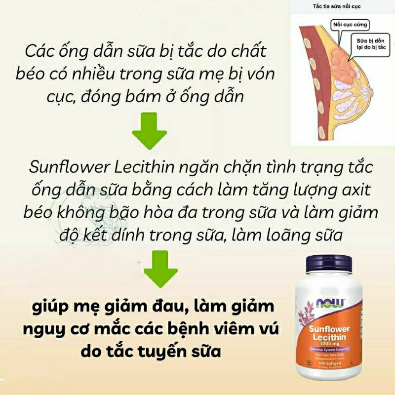 Viên uống chống tắc tia sữa Now Sunflower Lecithin 1200mg