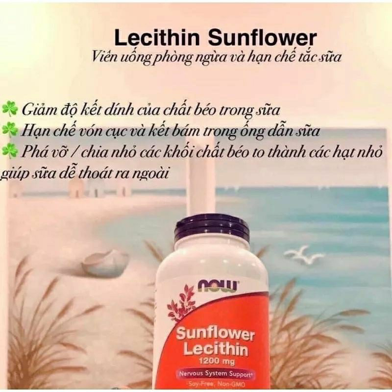 Viên uống chống tắc tia sữa Now Sunflower Lecithin 1200mg
