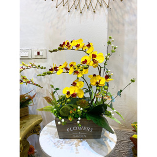 chậu hoa lan tiểu hồ điệp, chất liệu cao su cao cấp, trang trí decor phòng khách, phòng ngủ, quà tặng ý nghĩa