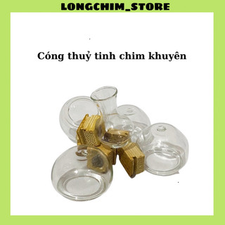 Cóng chim khuyên thuỷ tinh tai triện cao cấp hoạ tiết siêu đẹp chất liệu thuỷ tinh combo 5 chiếc
