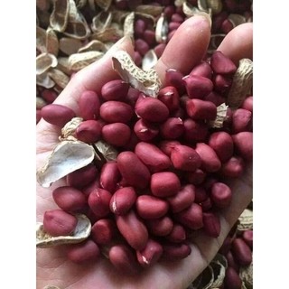 Lạc quê . lạc ₫ỏ các cụ