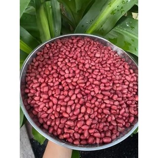 lạc quê . lạc ₫ỏ các cụ