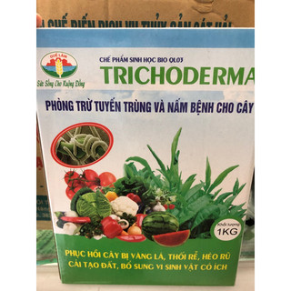 Chế phẩm sinh học nấm trichoderma hộp /1 kg