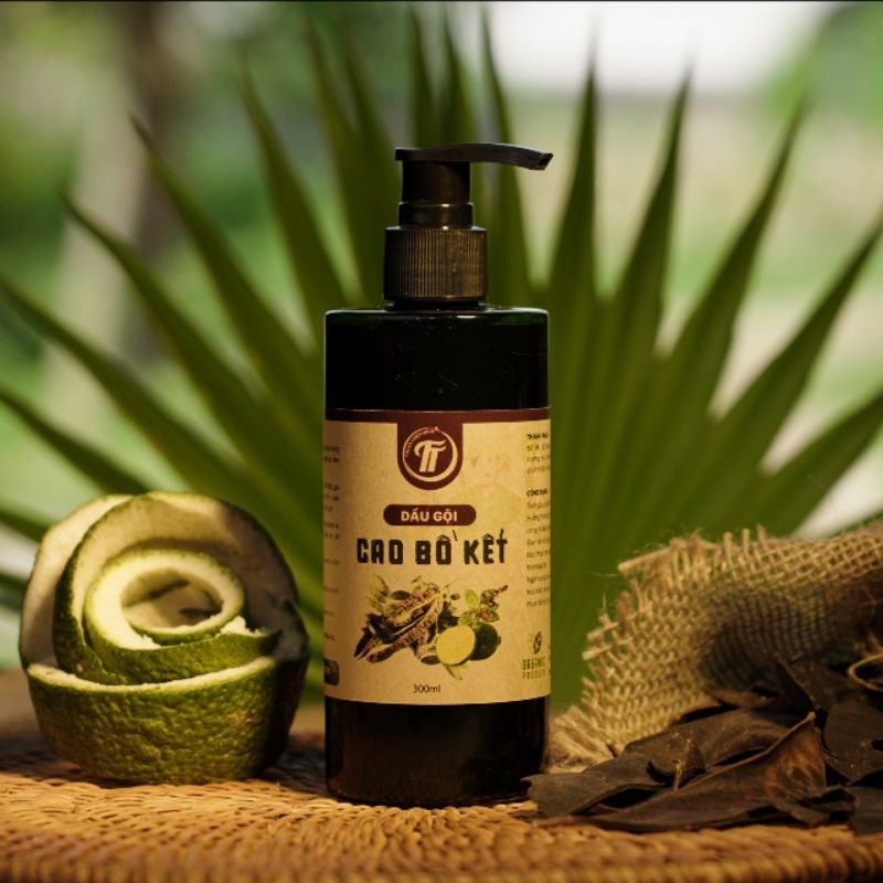 Cao gội đầu bồ kết