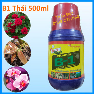 Vitamin B1 thái lan (500ml), Phân bón lá chuyên dùng cho phong lan, hoa hồng, cây kiểng