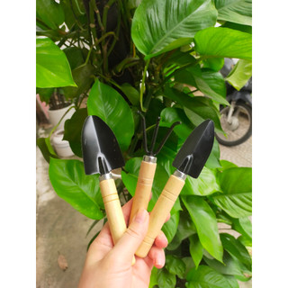 Dụng Cụ Làm Vườn Bộ 3 Món Cán Gỗ (Xẻng - Cào - Xới Đất)