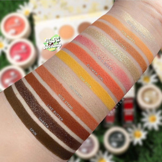 Bảng mắt Colourpop Daisy Does It 12 ô