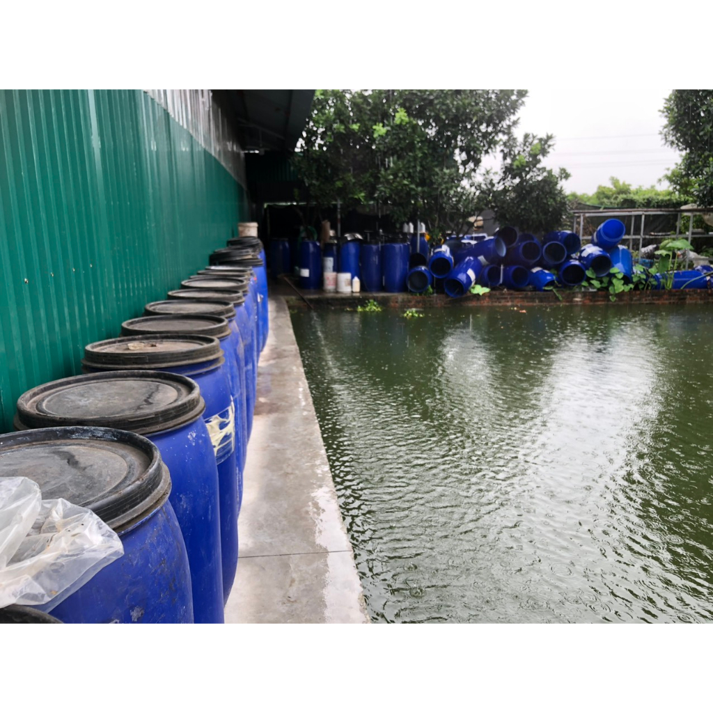 ĐẠM CÁ NGUYÊN CHẤT GIÁ XƯỞNG  – RAU SẠCH, TRÁI NGỌT, XANH LÁ MẤP THÂN, BÊN CÂY, TỐT ĐẤT.