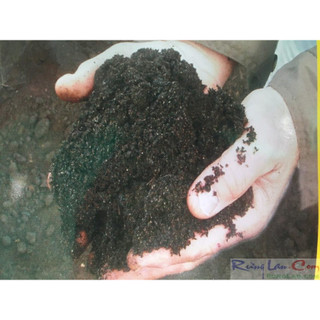 Trichoderma TDC1 phân giả hữu cơ gói 1 kg