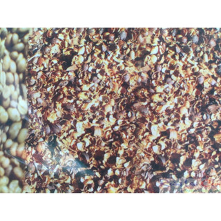 Trichoderma TDC1 phân giả hữu cơ gói 1 kg