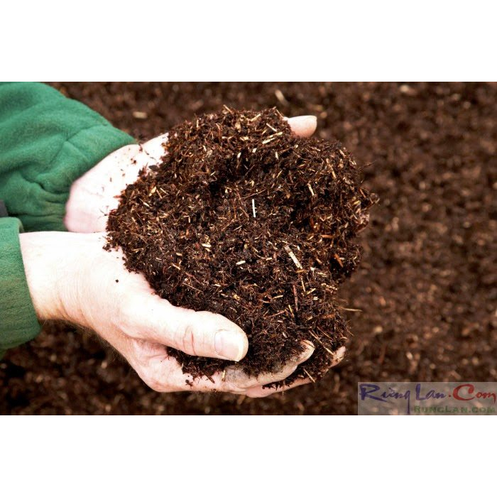 Trichoderma điền trang phân hữu cơ vi sinh vật cao cấp nấm đối kháng.