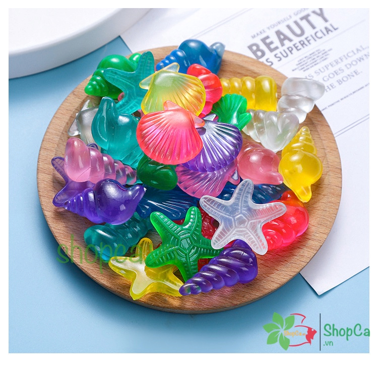 Vỏ sò dạ quang trang trí bể cá cảnh, thủy sinh, handmade