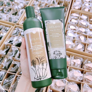 CẶP ĐÔI DẦU GỘI + XẢ GỪNG WEILAIYA