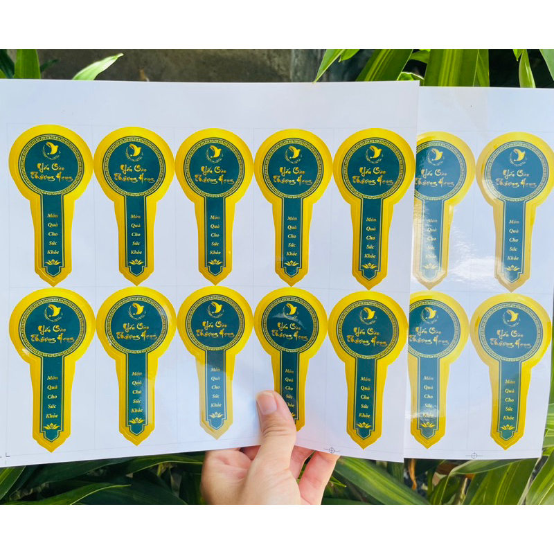 SET TEM YẾN DÁN NIÊM PHONG XANH COBAN SIÊU RẺ