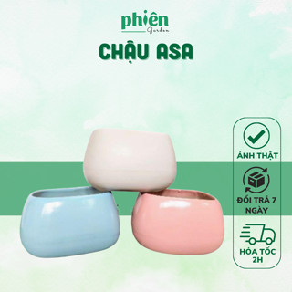  Chậu asa chậu méo Chậu gốm tráng men Bát Tràng 