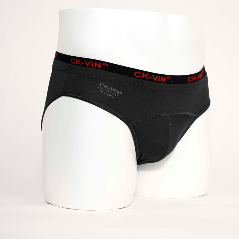 ComBo 5 quần lót nam thun lạnh tam giác - quần sịp nam lưng bản to CK_VIN QL046