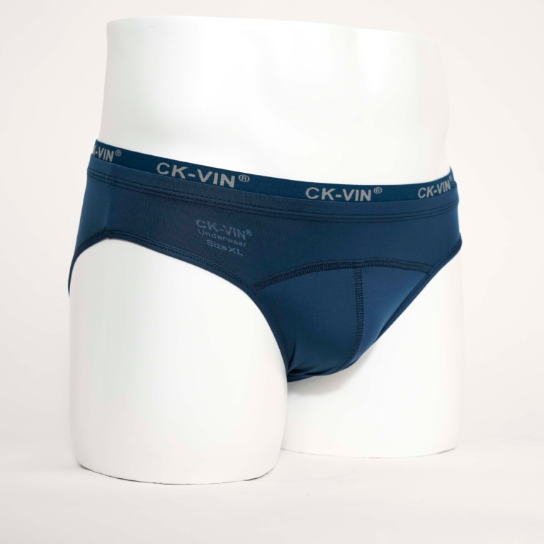 ComBo 5 quần lót nam thun lạnh tam giác - quần sịp nam lưng bản to CK_VIN QL046