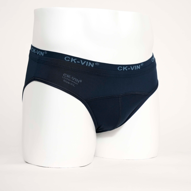 ComBo 5 quần lót nam thun lạnh tam giác - quần sịp nam lưng bản to CK_VIN QL046