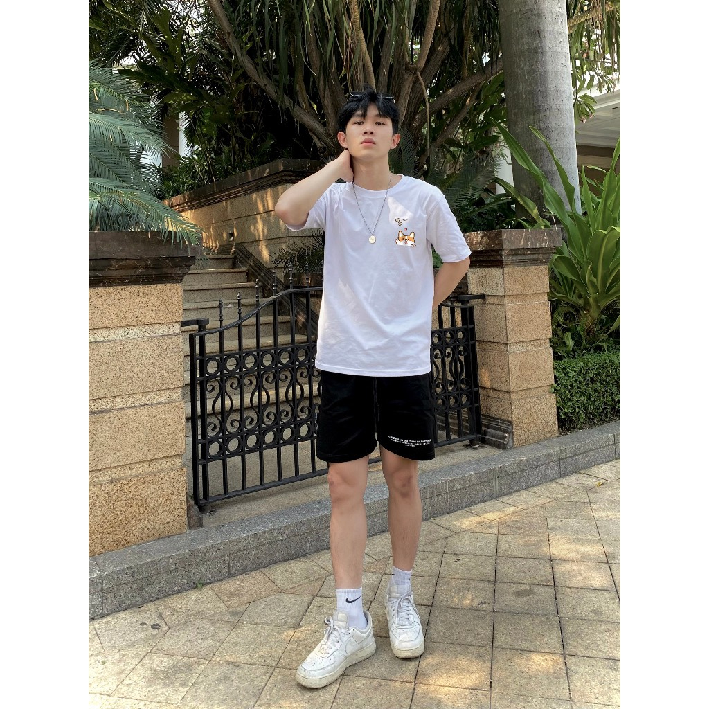 Áo thun in hình Corgi