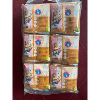 {SIÊU KHUYẾN MÃI} COMBO 6 GÓI BVS DIANA HẰNG NGÀY COMPACT 20 MIẾNG ( KHÔNG DÙNG TRONG NGÀY CHU KỲ )