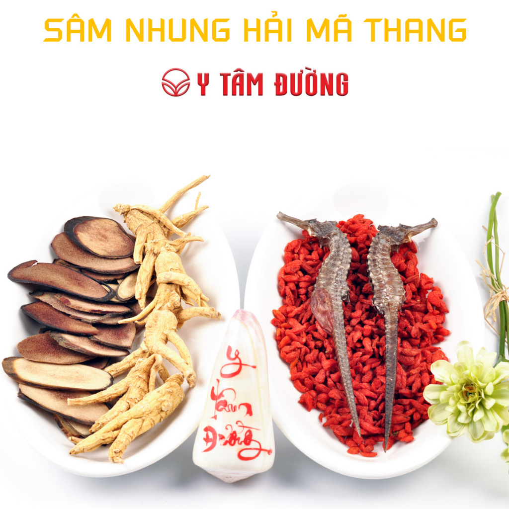 Thang ngâm rượu Sâm Nhung Hải Mã