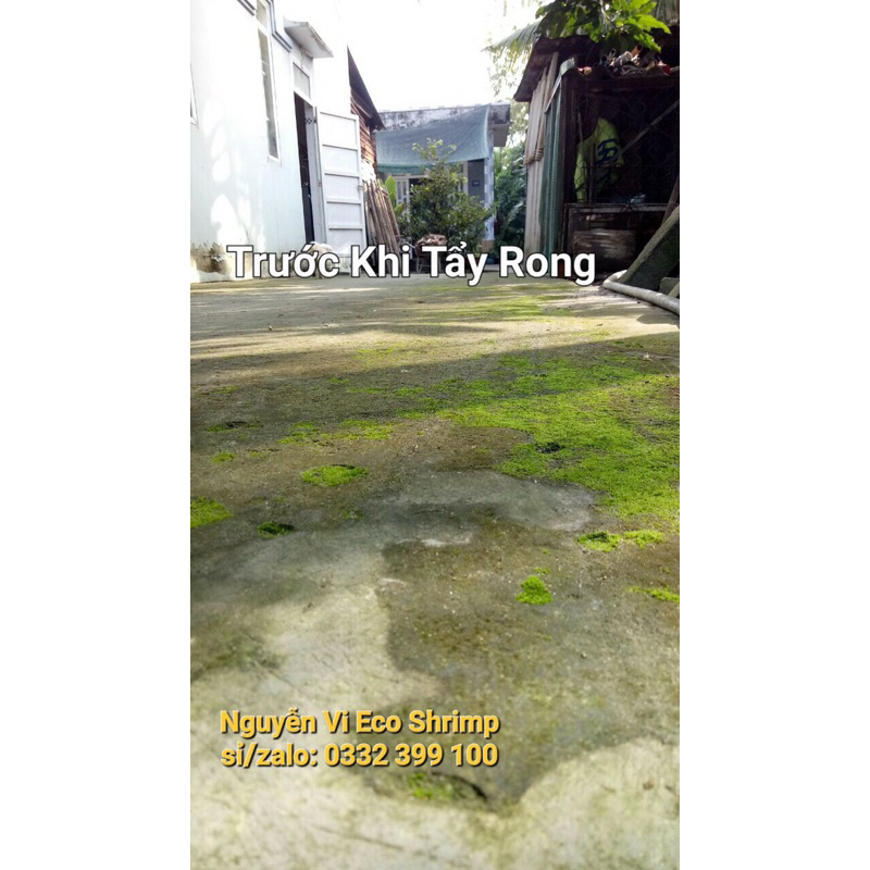 1kg Bột Tẩy Rong Rêu Sân Xi Măng siêu sạch tiết kiệm chi phí# gói 1kg