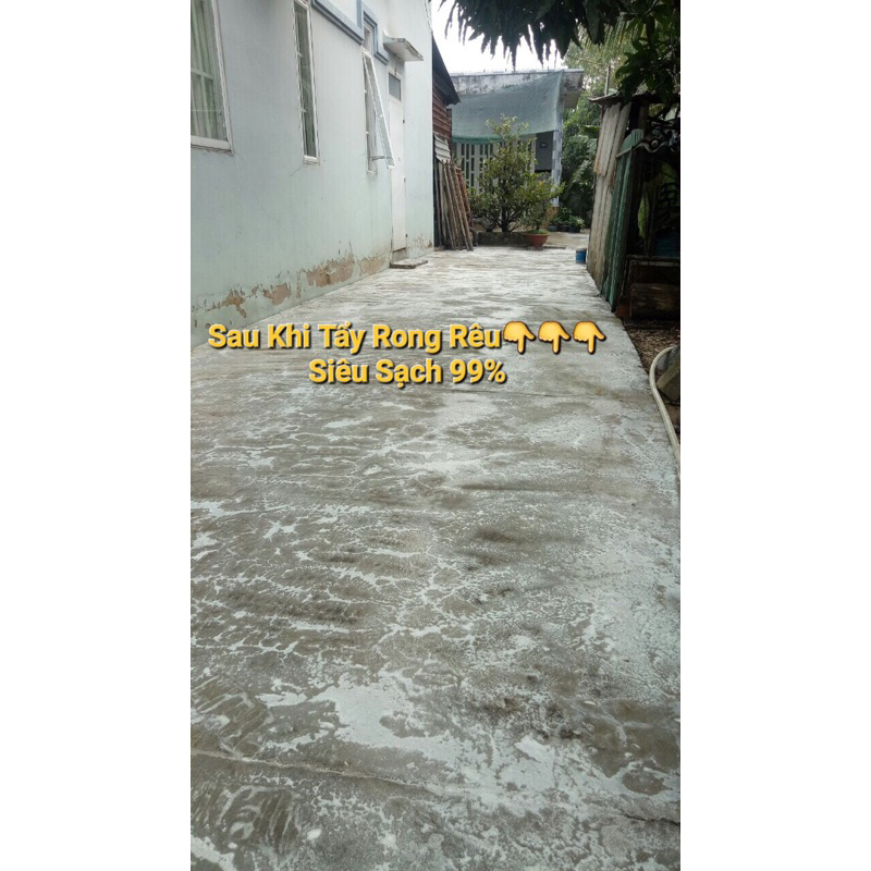 1kg Bột Tẩy Rong Rêu Sân Xi Măng siêu sạch tiết kiệm chi phí# gói 1kg