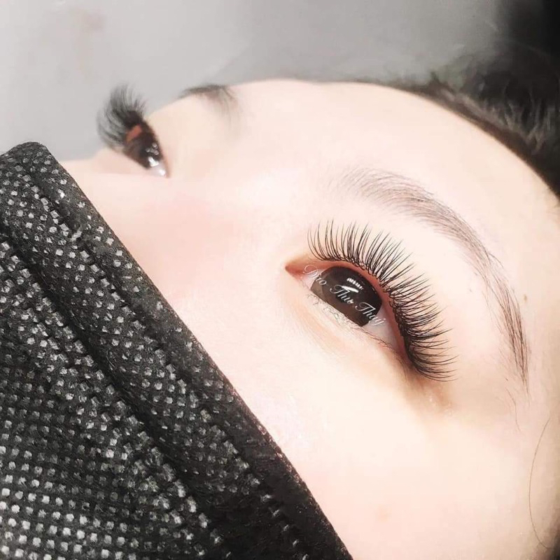 Mi Flat Sen Lash siêu mềm nối Classic độ dày 0.12
