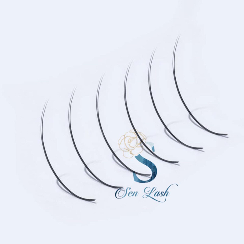 Mi Flat Sen Lash siêu mềm nối Classic độ dày 0.12