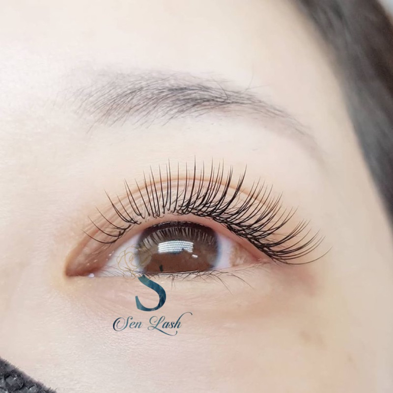 Mi Flat Sen Lash siêu mềm nối Classic độ dày 0.12