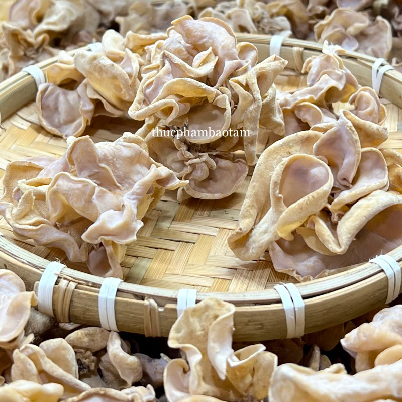 NẤM MÈO TRẮNG