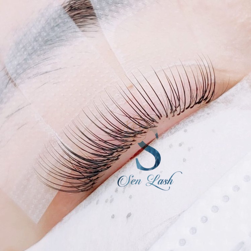 Mi Flat Sen Lash siêu mềm nối Classic độ dày 0.12