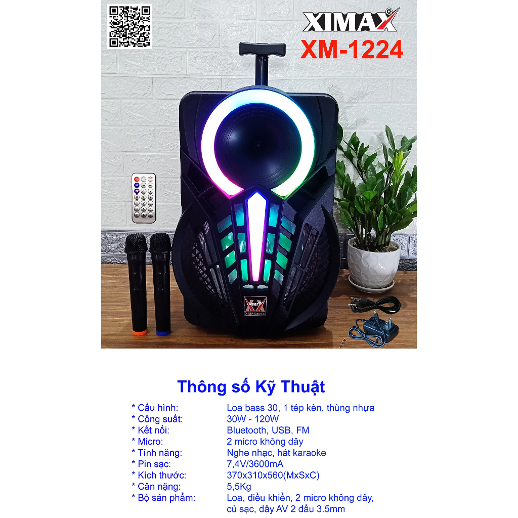 Loa kéo KARAOKE bluetooth bass 30 IP-311F tặng 2 tay mic không dây, chất lượng cao