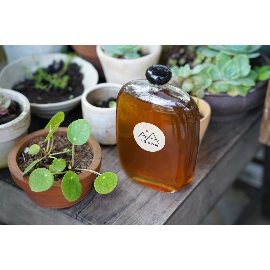 Mật ong hoa cà phê Arabica