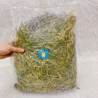 Cỏ khô Alfalfa, Cỏ Alfalfa, cỏ linh lăng, thức ăn cho Guinea pig , thỏ