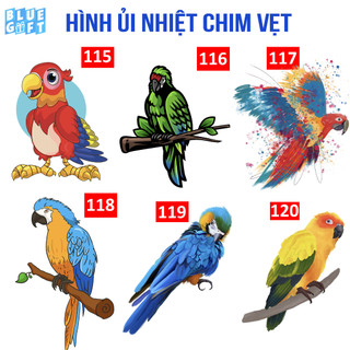 Hình ủi, hình ép nhiệt Chim Vẹt 20