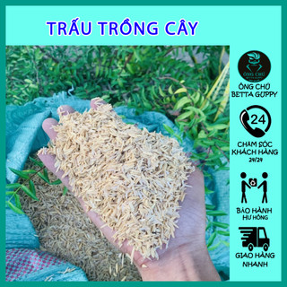 Phân bón trồng cây - Sơ dừa - Tro - Trấu - Phân bò