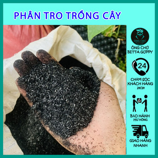 Phân bón trồng cây - Sơ dừa - Tro - Trấu - Phân bò
