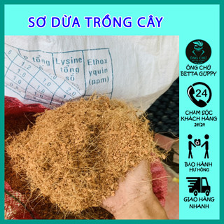 Phân bón trồng cây - Sơ dừa - Tro - Trấu - Phân bò