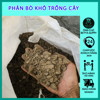 Phân bò hữu cơ - trồng cây