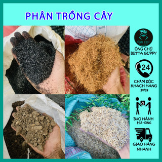 Phân bò hữu cơ - trồng cây