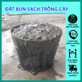 Phân bò hữu cơ - trồng cây