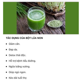 Bột lúa non Nhật Bản 44 gói, bột lúa mạch non Grass Barley Nhật Bản, trà lúa non [Date 2025-2026, mẫu mới]