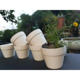 Chậu đất nung mini - chậu trồng sen đá, xương rồng, bonsai - nhiều kích thước 5-7-9-11cm mẫu cao
