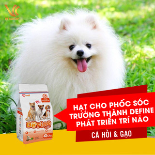 Thức ăn cho chó Phốc Sóc trưởng thành Define phát triển trí não và năng động 500g | VC Pet Shop