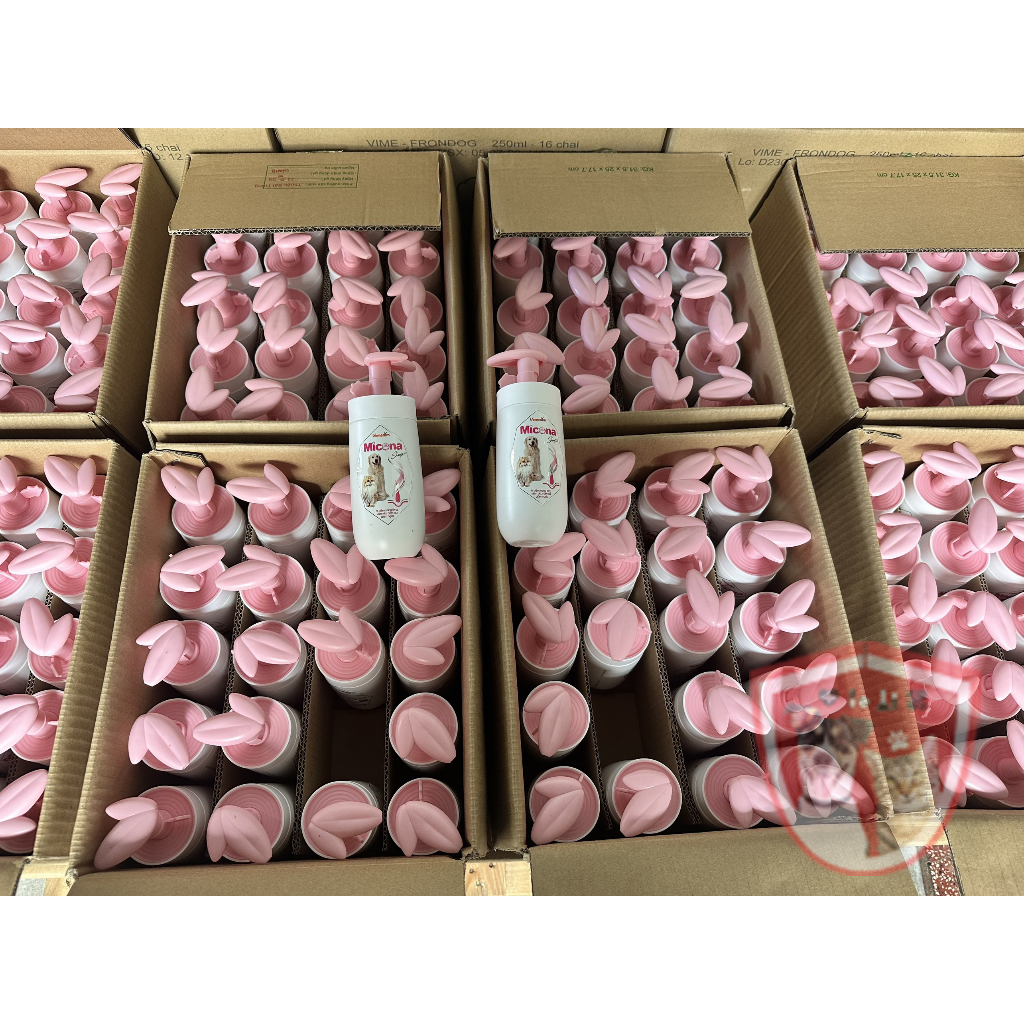 Sữa tắm phòng trị nấm, viêm da cho chó mèo Micona shampoo